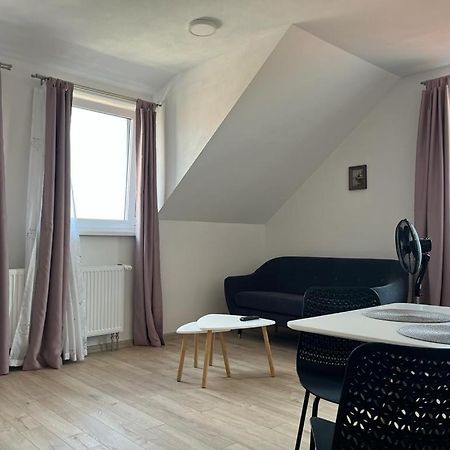 Sabina Apartaments Sfantu Gheorghe  ภายนอก รูปภาพ