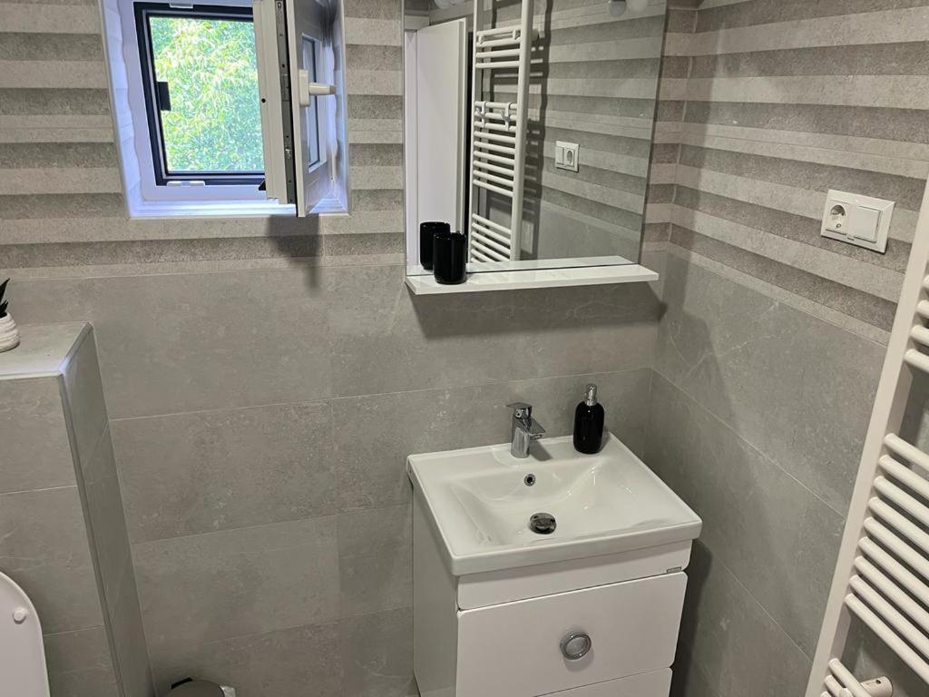 Sabina Apartaments Sfantu Gheorghe  ภายนอก รูปภาพ