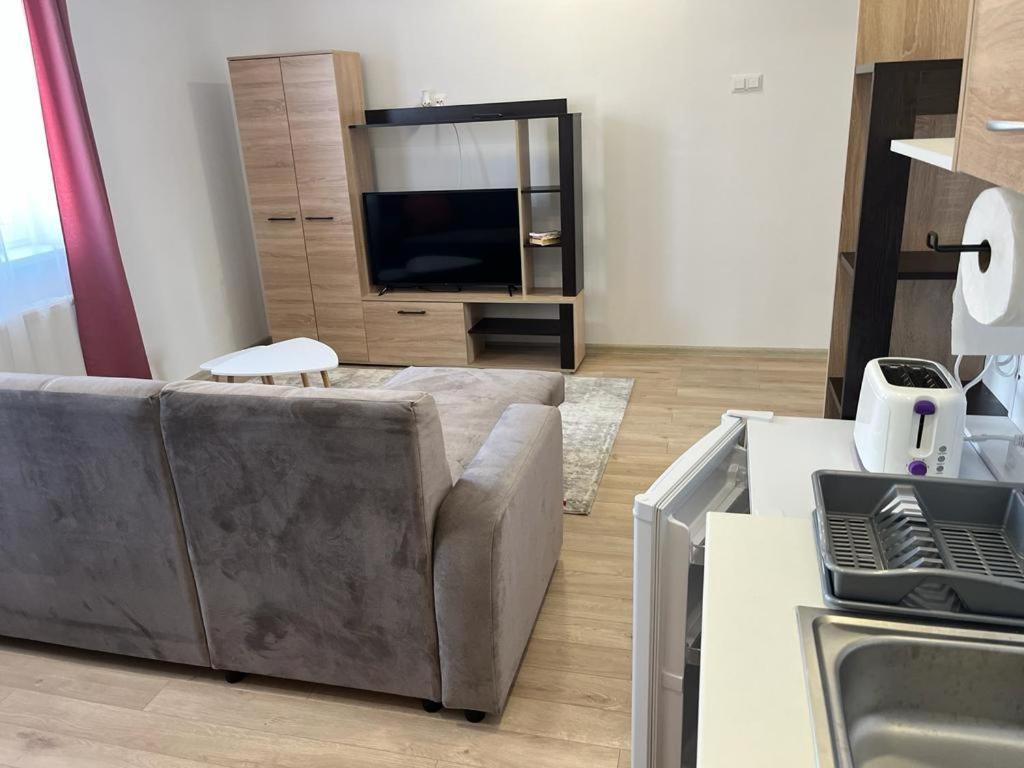 Sabina Apartaments Sfantu Gheorghe  ภายนอก รูปภาพ