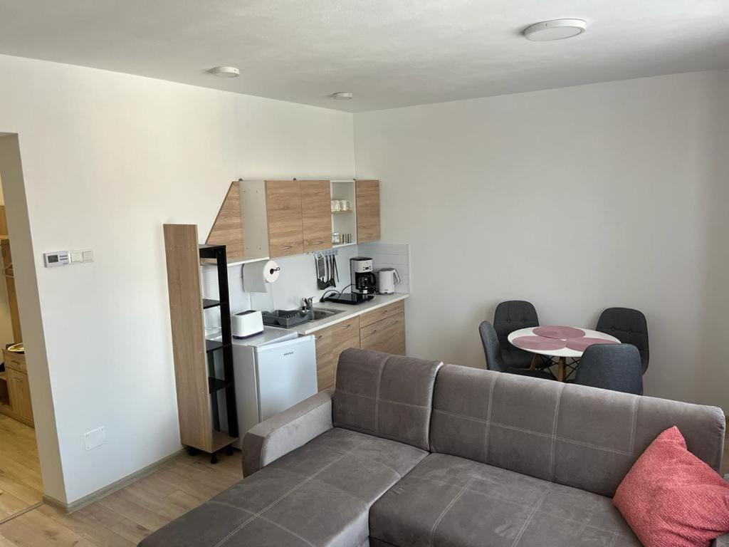 Sabina Apartaments Sfantu Gheorghe  ภายนอก รูปภาพ