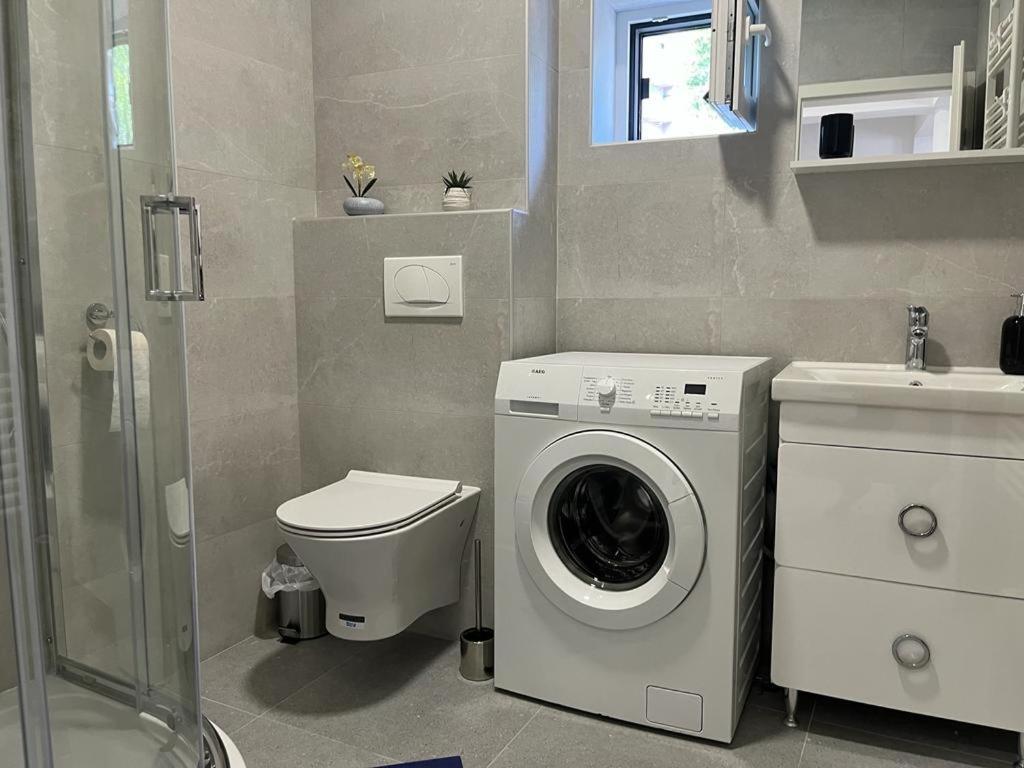 Sabina Apartaments Sfantu Gheorghe  ภายนอก รูปภาพ