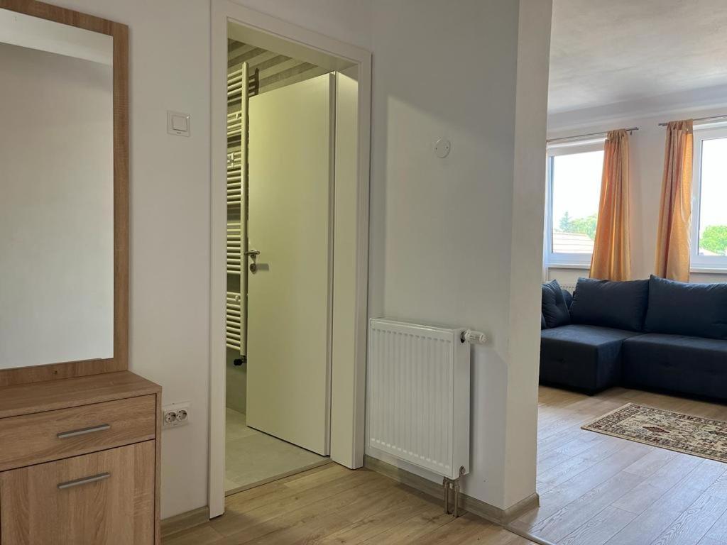 Sabina Apartaments Sfantu Gheorghe  ภายนอก รูปภาพ