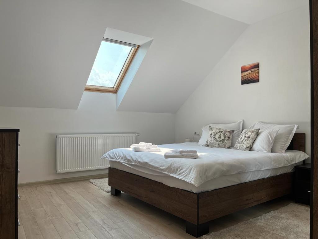 Sabina Apartaments Sfantu Gheorghe  ภายนอก รูปภาพ