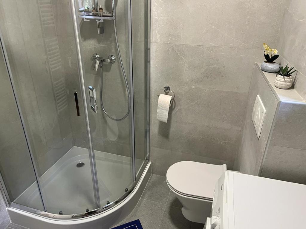 Sabina Apartaments Sfantu Gheorghe  ภายนอก รูปภาพ