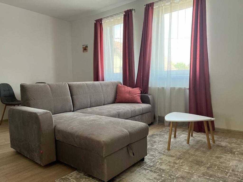 Sabina Apartaments Sfantu Gheorghe  ภายนอก รูปภาพ