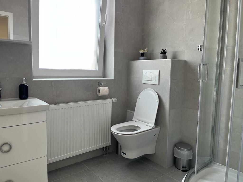 Sabina Apartaments Sfantu Gheorghe  ภายนอก รูปภาพ