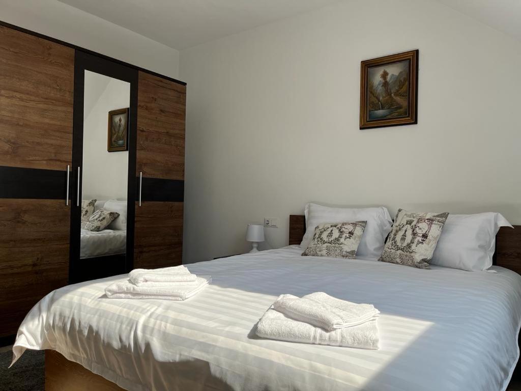 Sabina Apartaments Sfantu Gheorghe  ภายนอก รูปภาพ